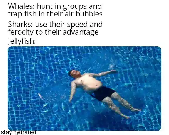 Jellyfish hunting meme stay hydrated