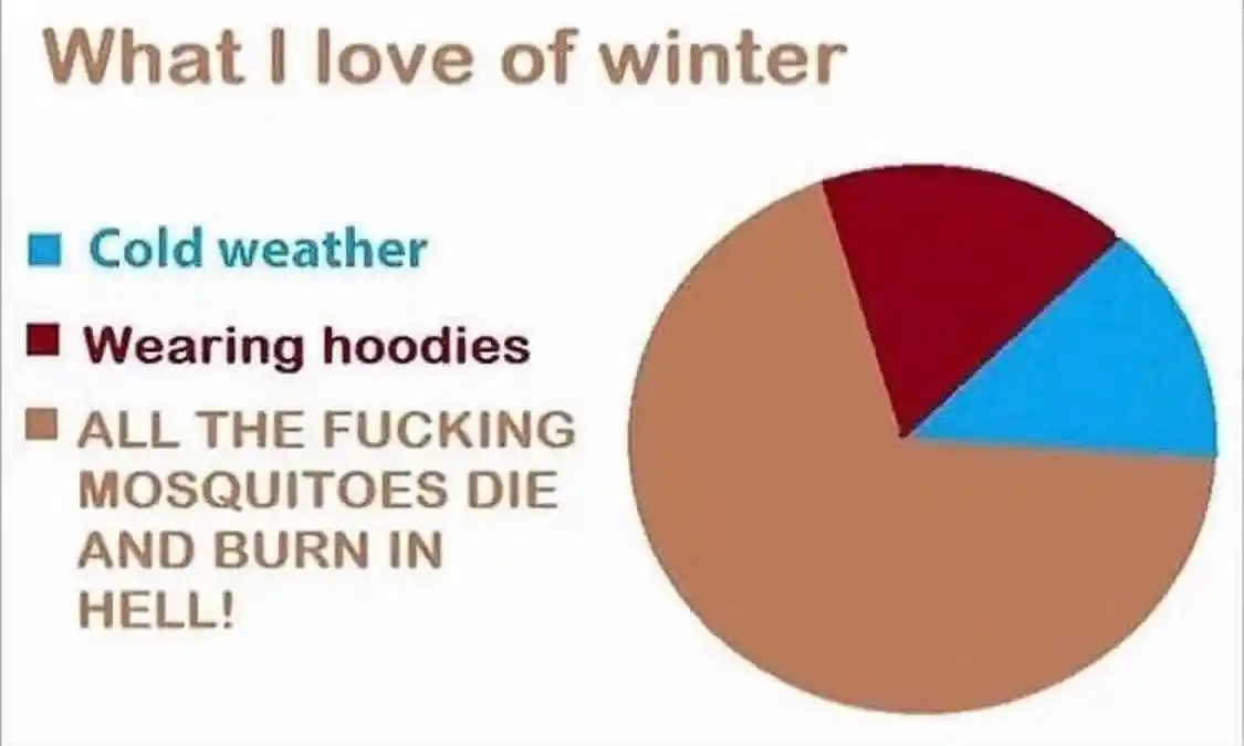 Winter love meme showing mosquito death