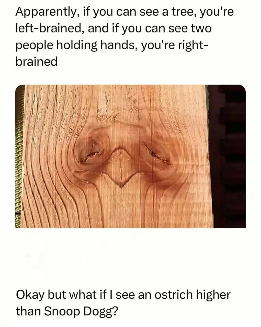 Wood grain meme Snoop Dogg ostrich sight