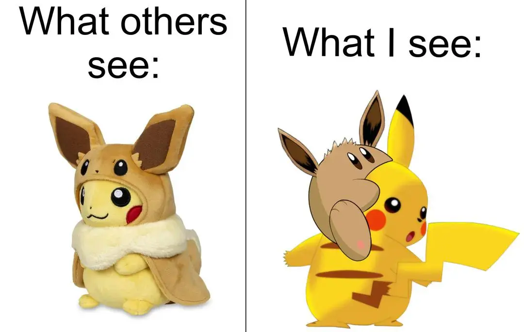 Pikachu eevee meme others see vs my view
