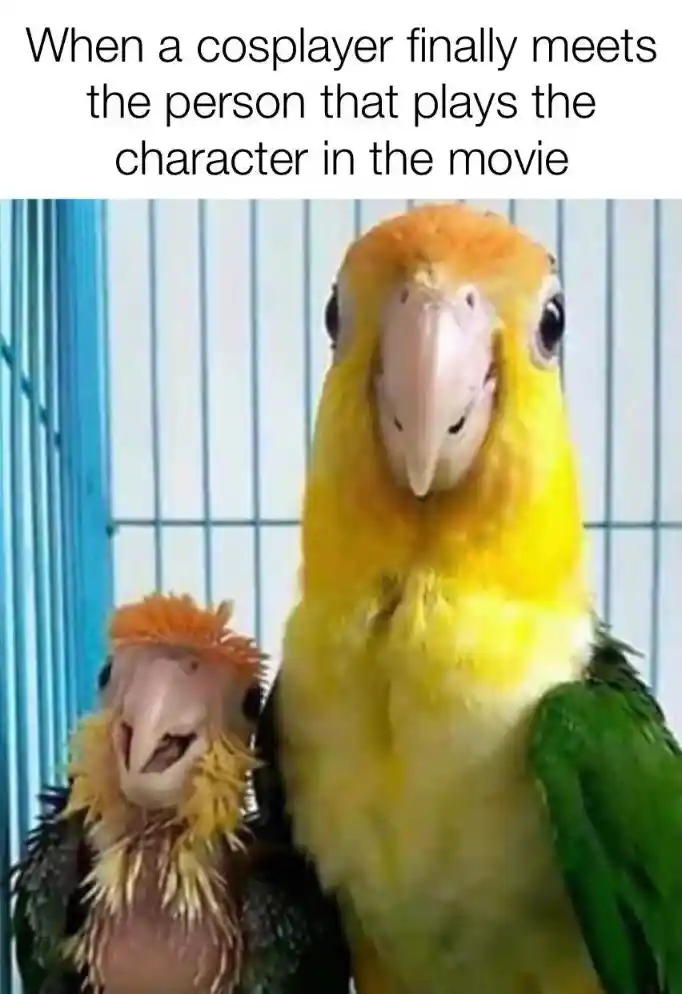 Cosplayer meme meets film star