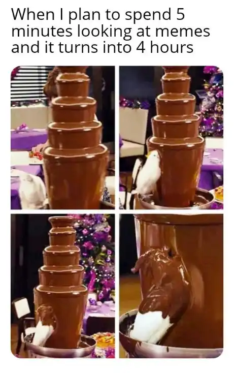 Chocolate fountain bird meme getting dipped wasting hours