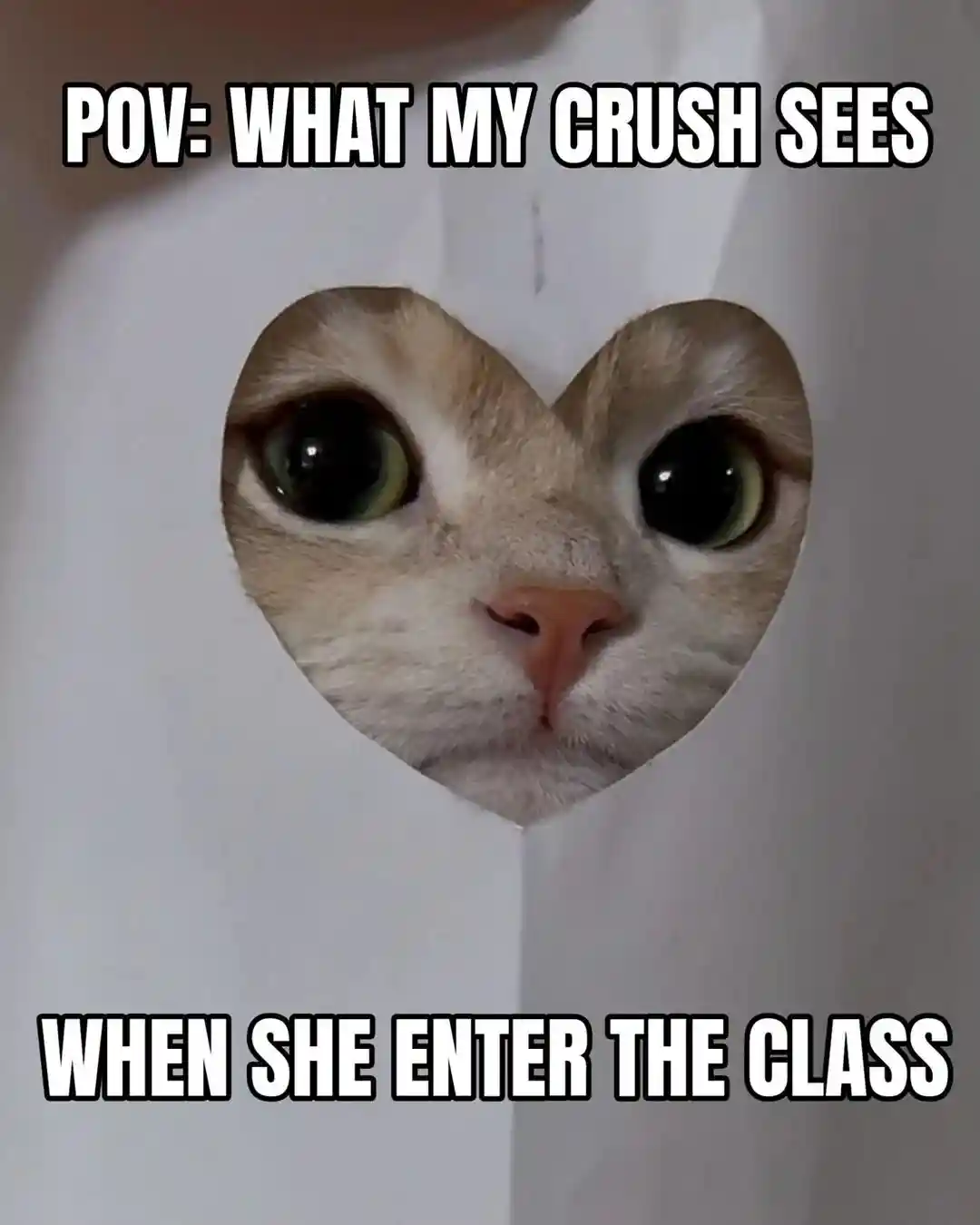 Depressed wojak meme peek at crush