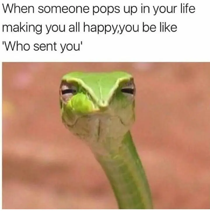 Skeptical snake meme asking who sent you