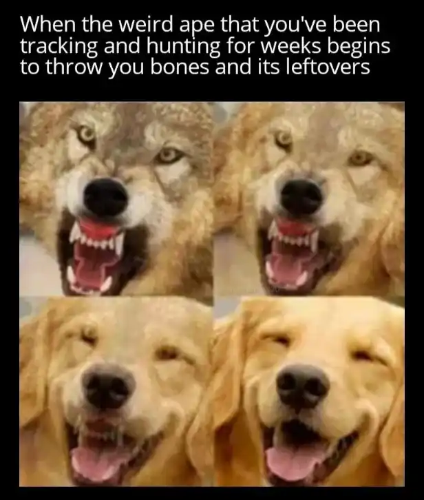 Wolf gets tracked ape scraps meme happy