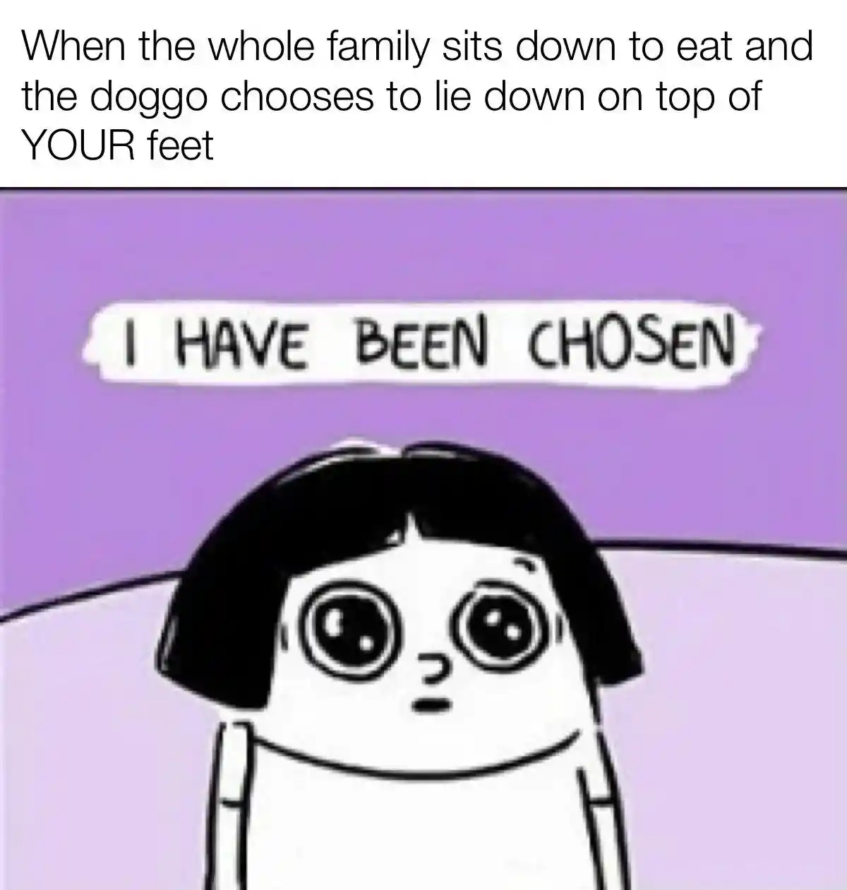 Family dinner dog picks your feet meme feeling chosen