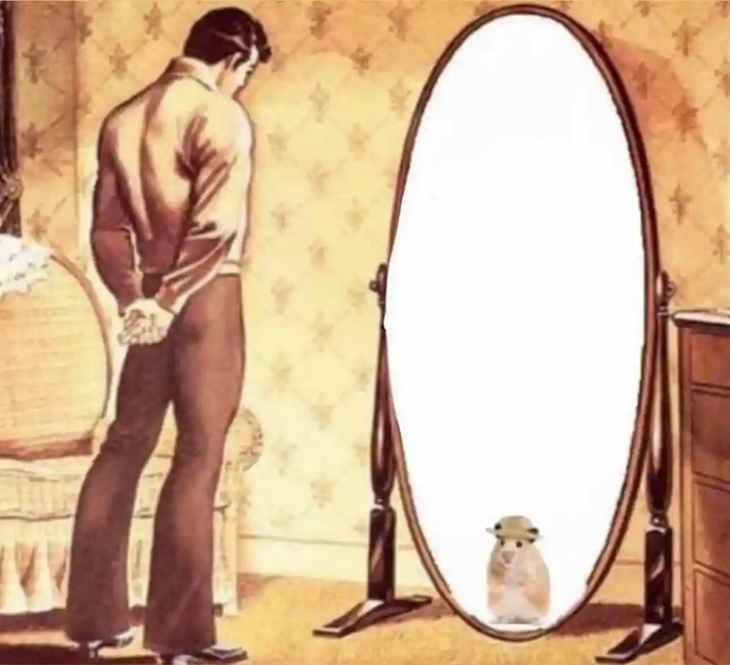 Man mirror meme sees hamster