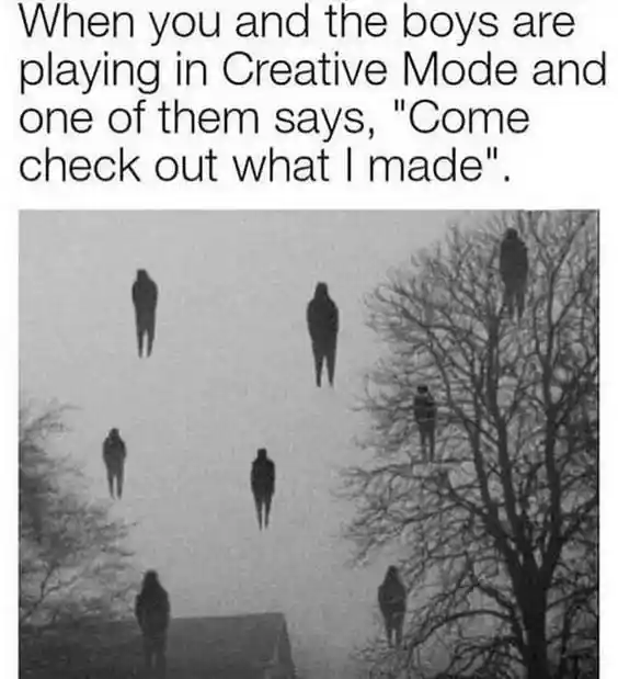 Minecraft meme flying to view new builds