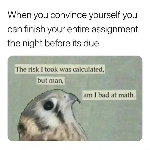 Assignment cram meme admit bad at math