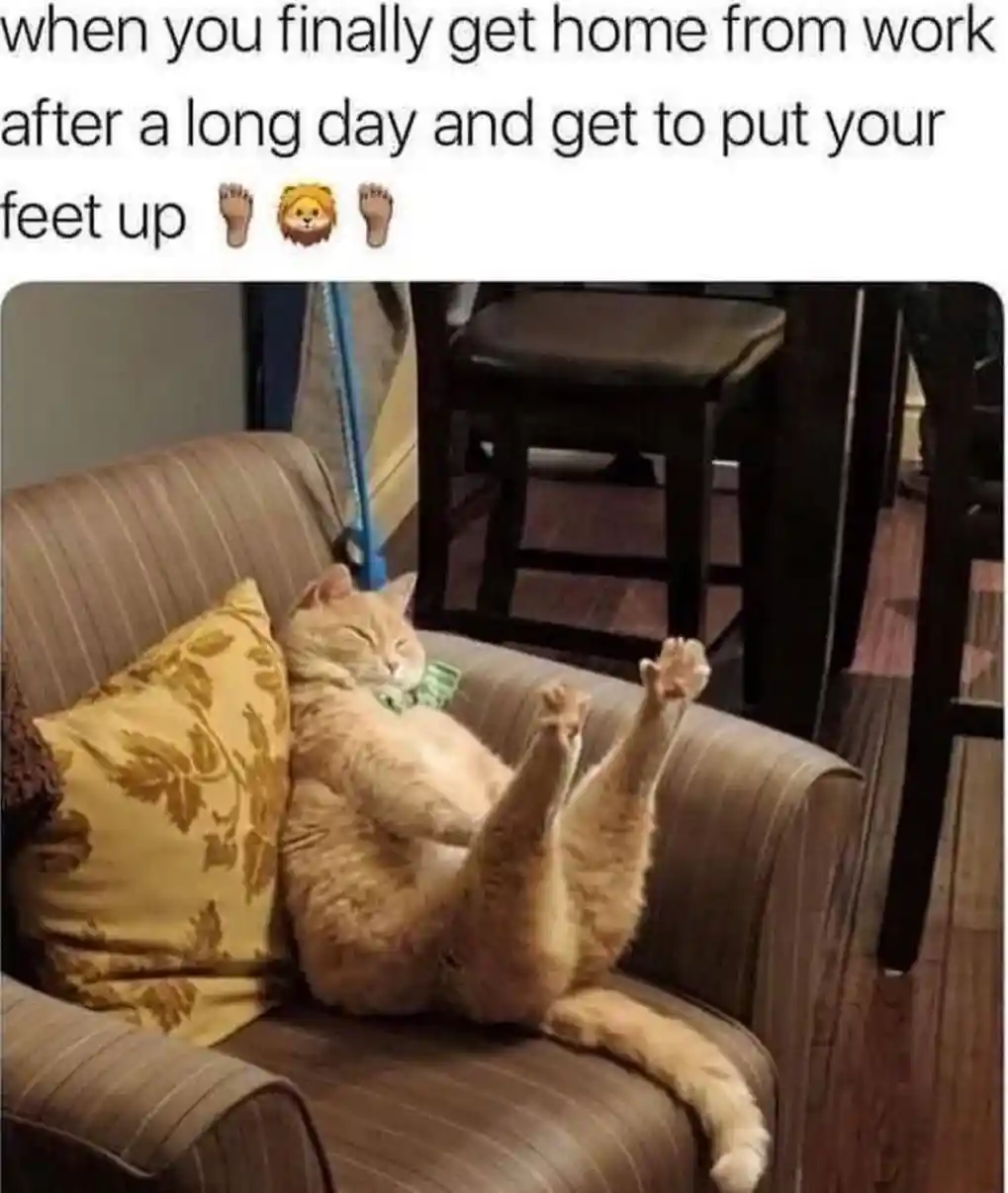Off work cat meme putting feet up on sofa