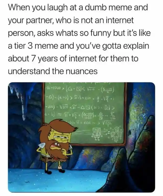 Explain tier3 meme to partner meme tired