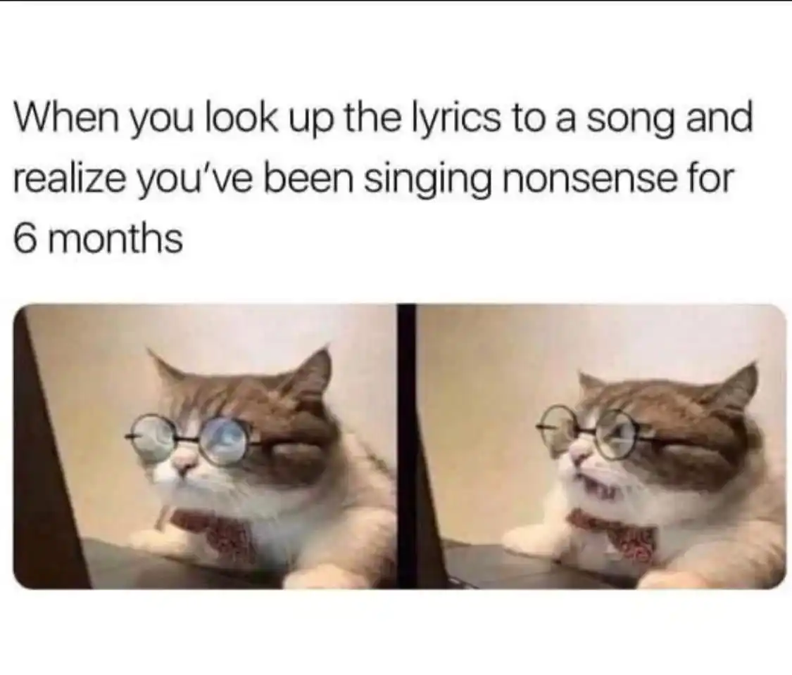 Wrong lyrics meme cat shocked at singing