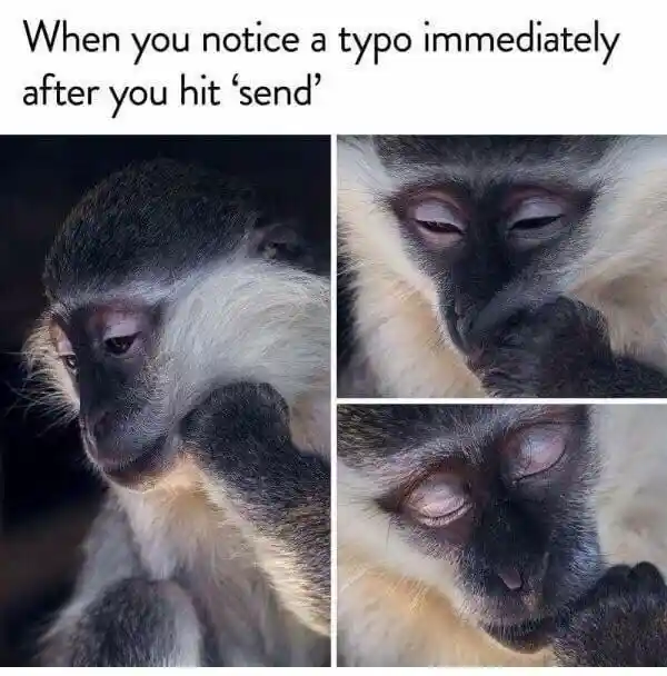 Send message typo meme feeling defeated
