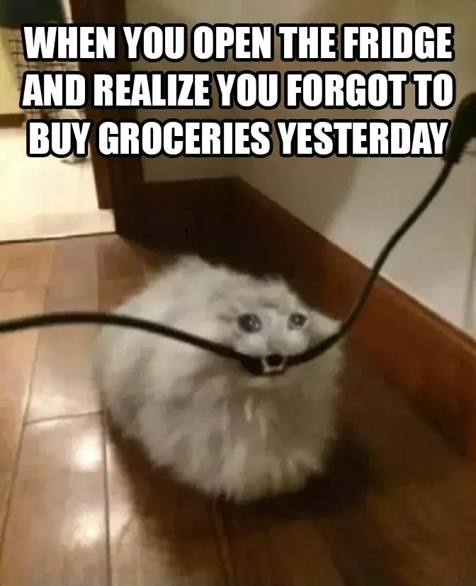 Empty fridge meme shocked no groceries