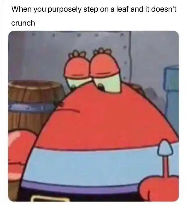 Mr krabs meme after failed leaf crunch