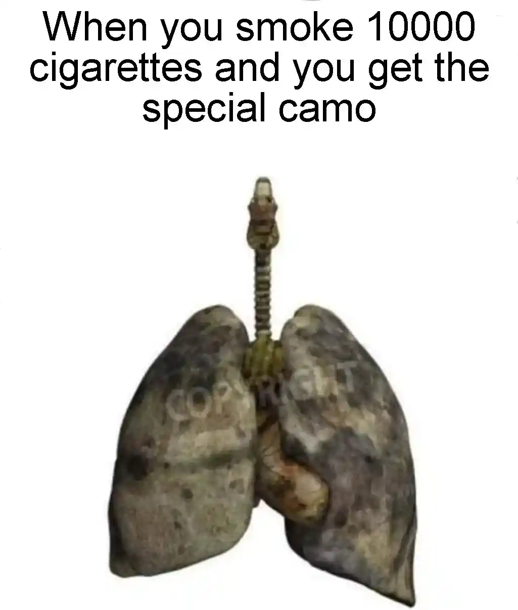 Heavy smoker lungs meme get special camo