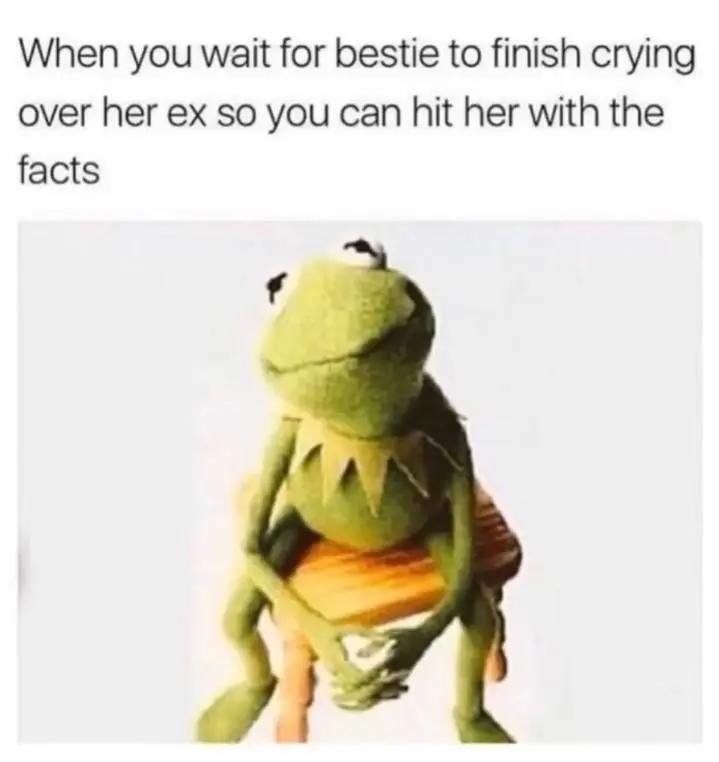 Wait for bestie ex cry meme share facts