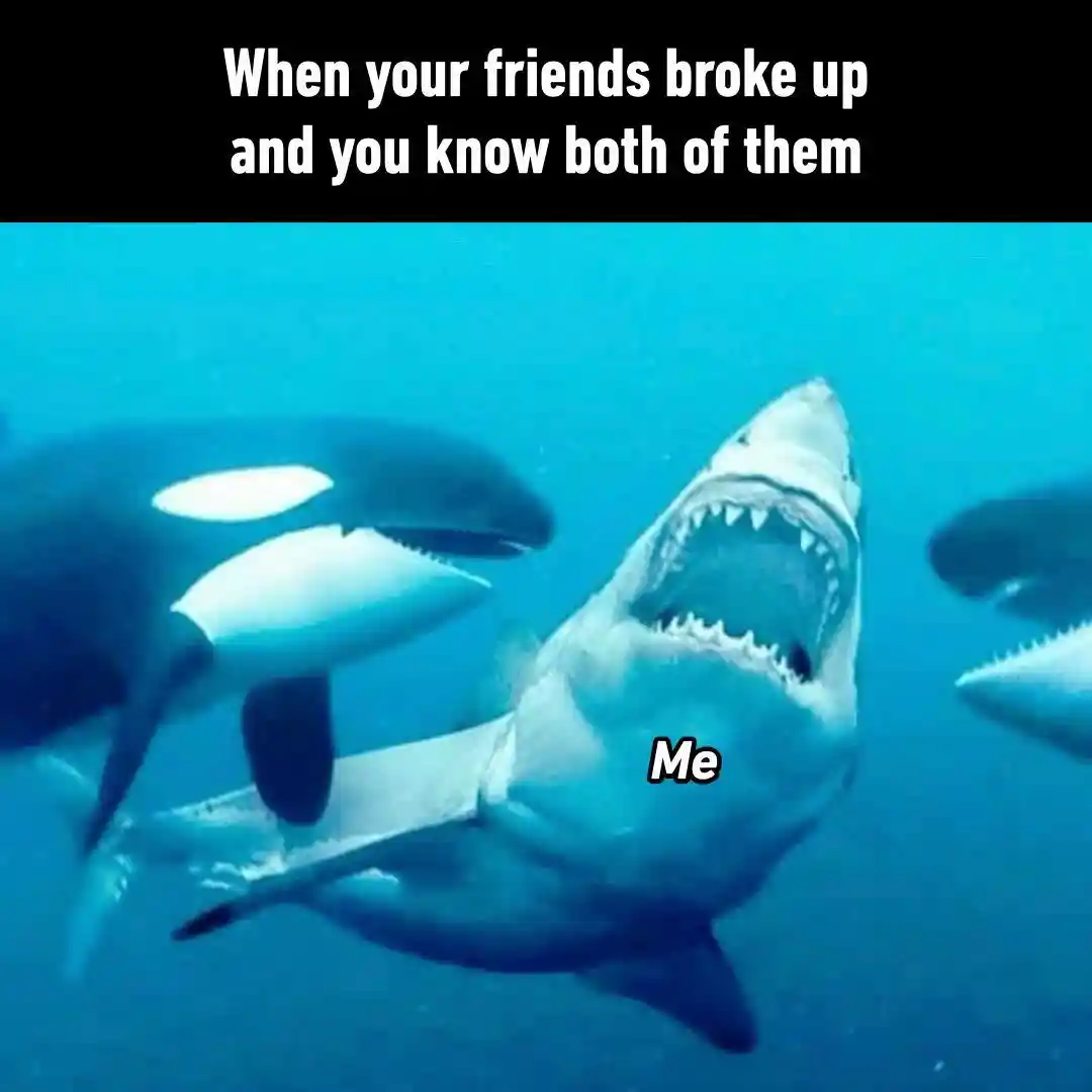 Two friends broke up meme awkward stuck in middle