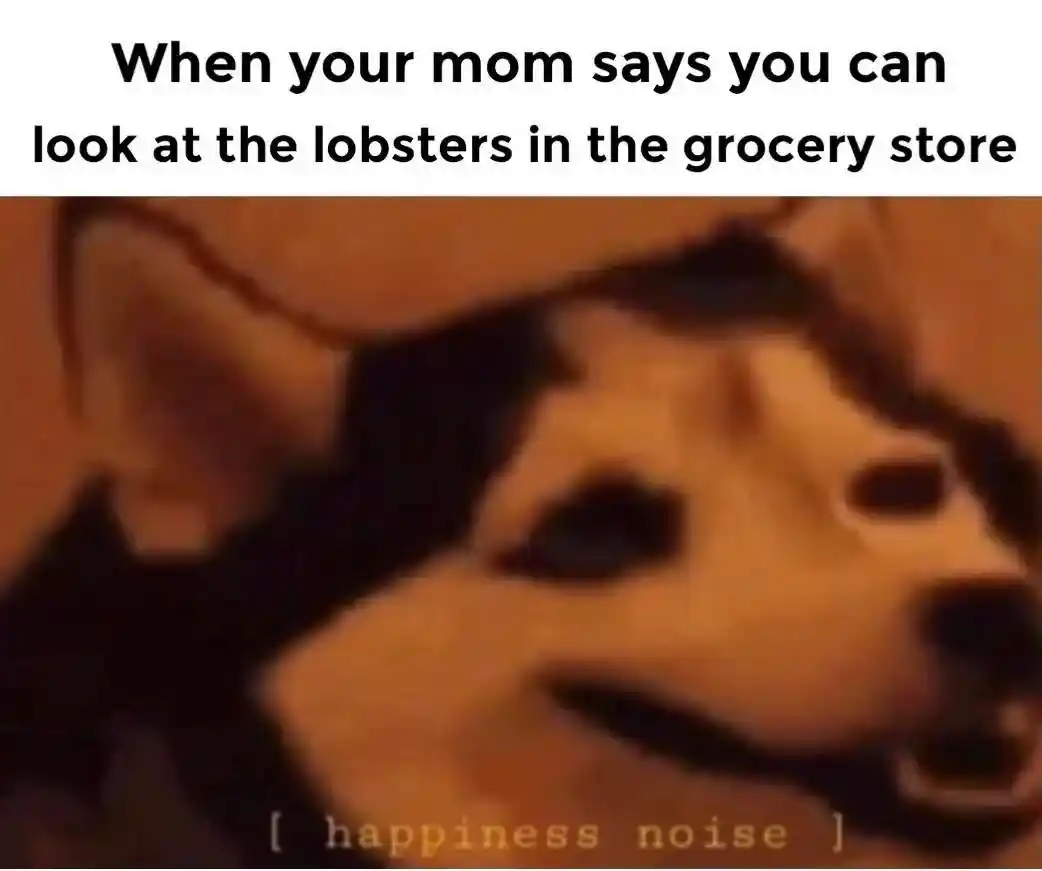 Grocery lobster meme makes happy noise