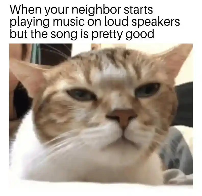 Neighbor loud good music meme hiding joy