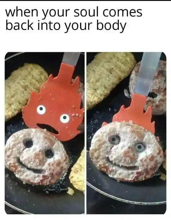 Soul back to body meme fried patty has eyes in pan