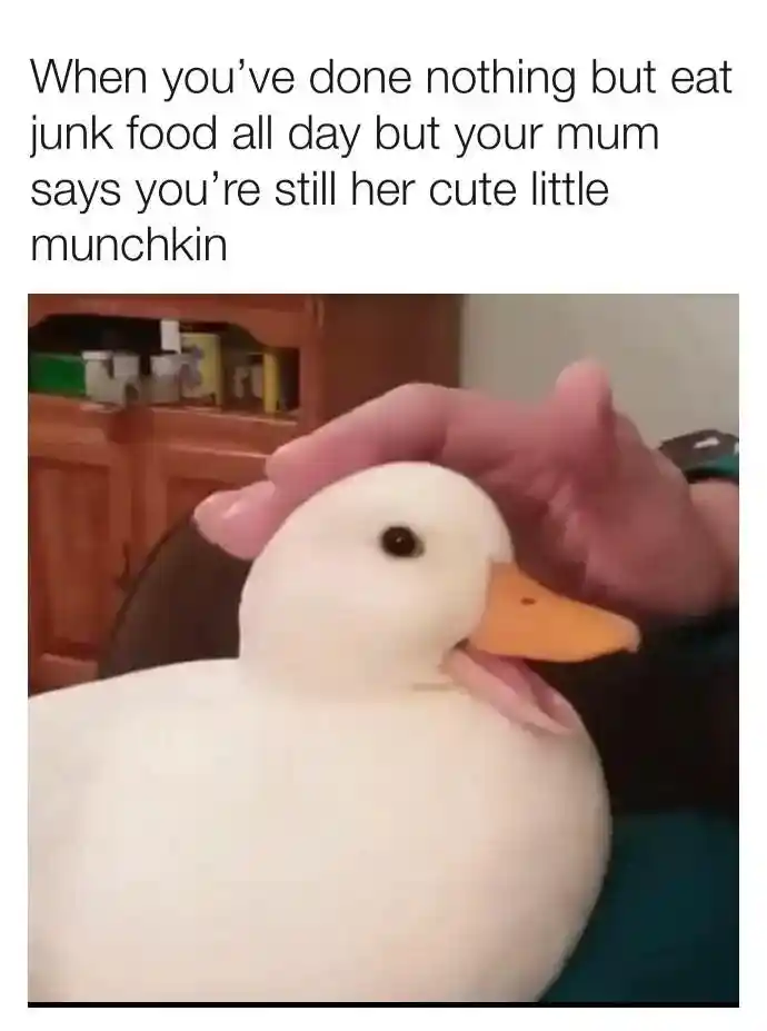 Junk food duck meme getting patted by mom happily