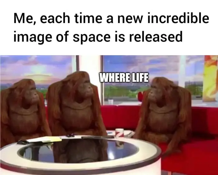 Where life meme curious about alien life