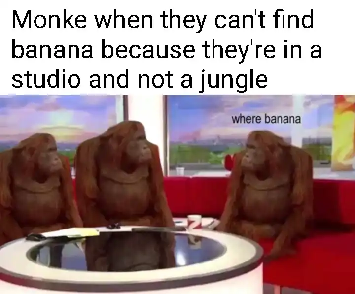 Where banana meme monkes look for banana