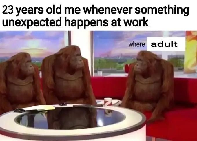 Where adult meme 23 year old lost at work events