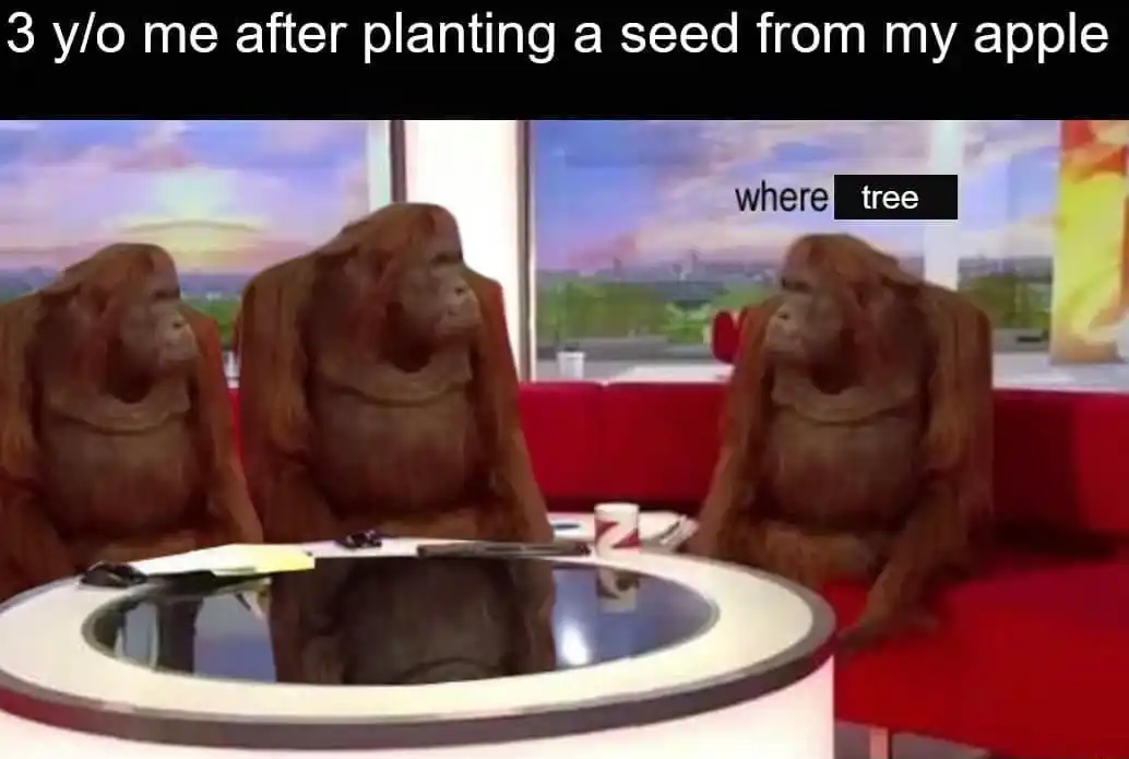 Where tree meme waiting for apple seed