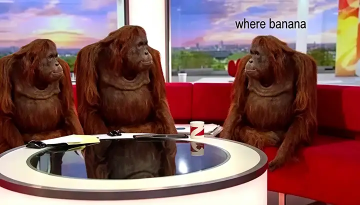where banana meme template