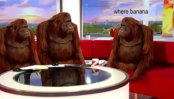 Where banana meme