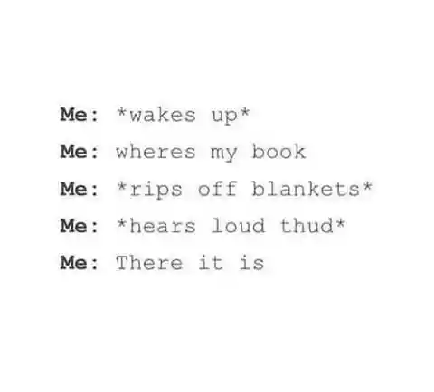 Lost book meme found under blankets