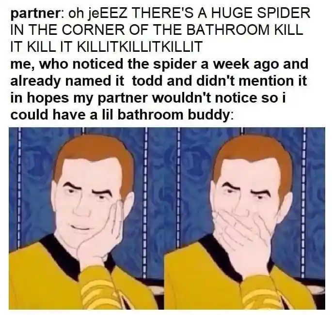 Huge spider meme hiding pet from partner