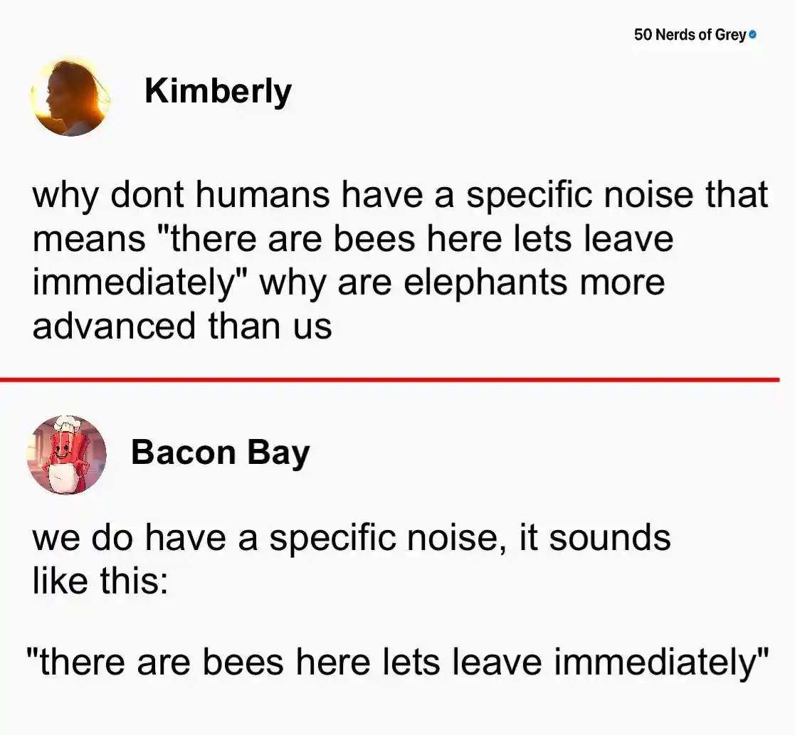 Bees warning meme joke about humans no special alert noise