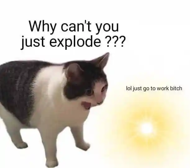 Mad cat meme telling orb to go to work
