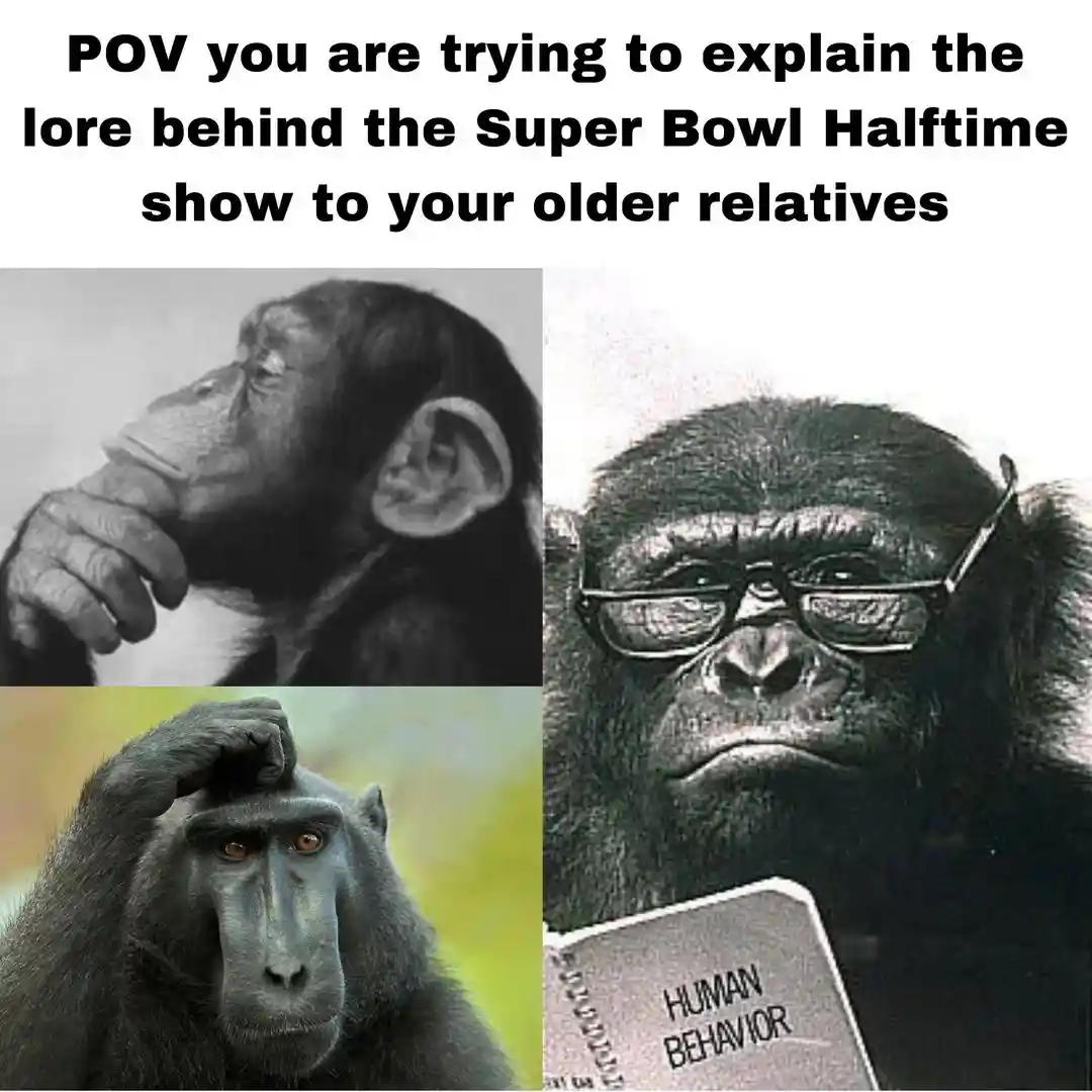 Super bowl halftime lore meme explain to older relatives