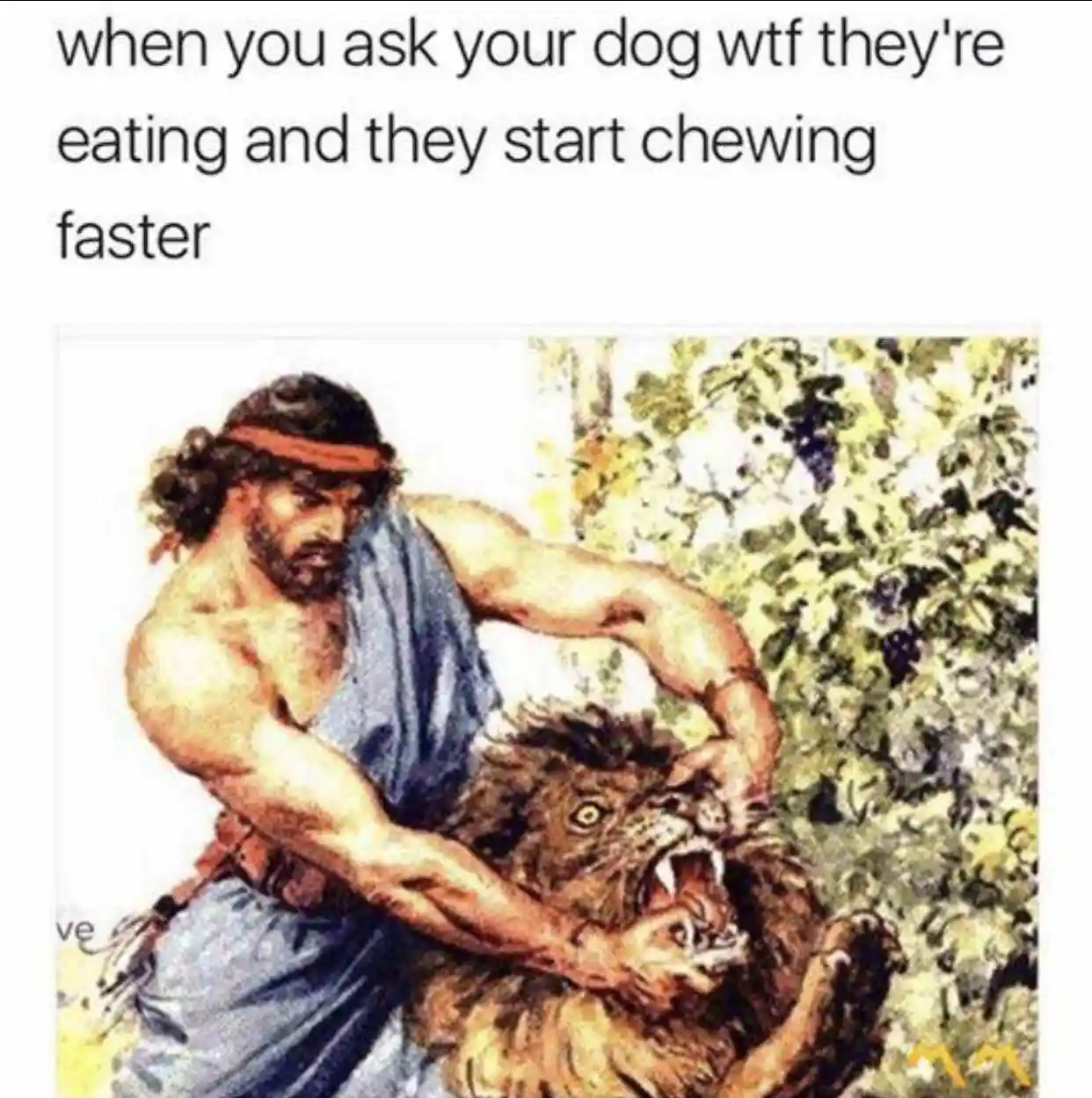 Dog eating meme chews faster when caught