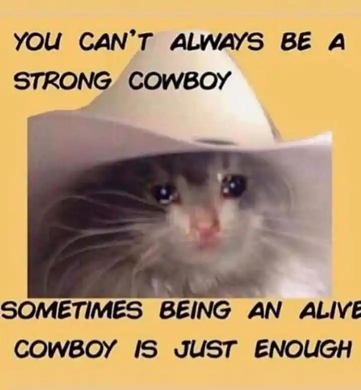 Cowboy cat meme says being alive is ok