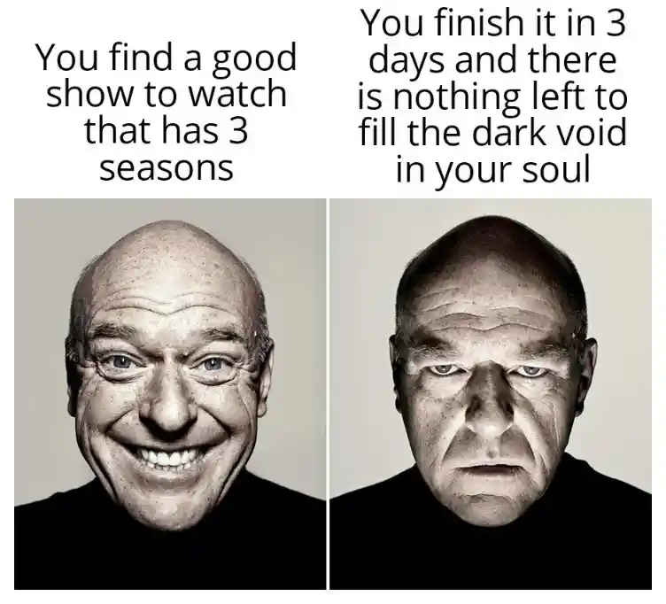 3 Season show meme binge watch feel void