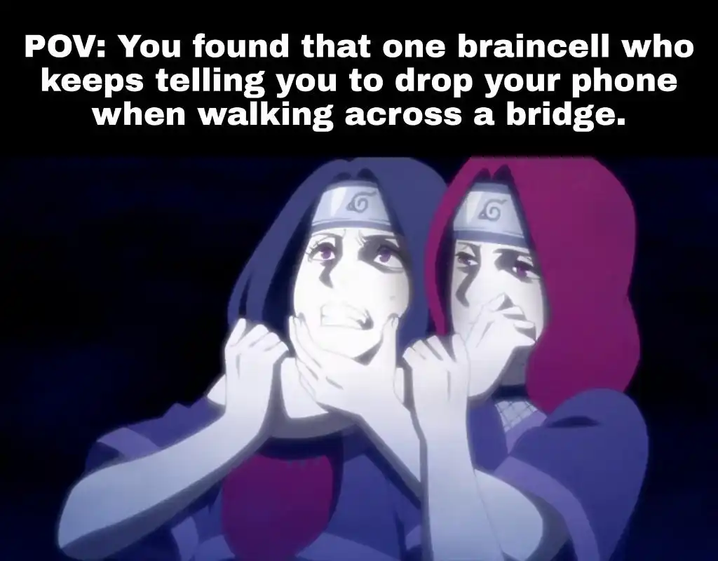 Braincell meme telling you drop phone on bridge