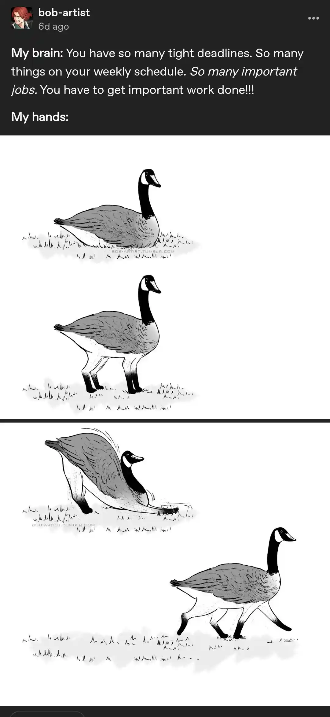 Goose meme ignore tight deadline work