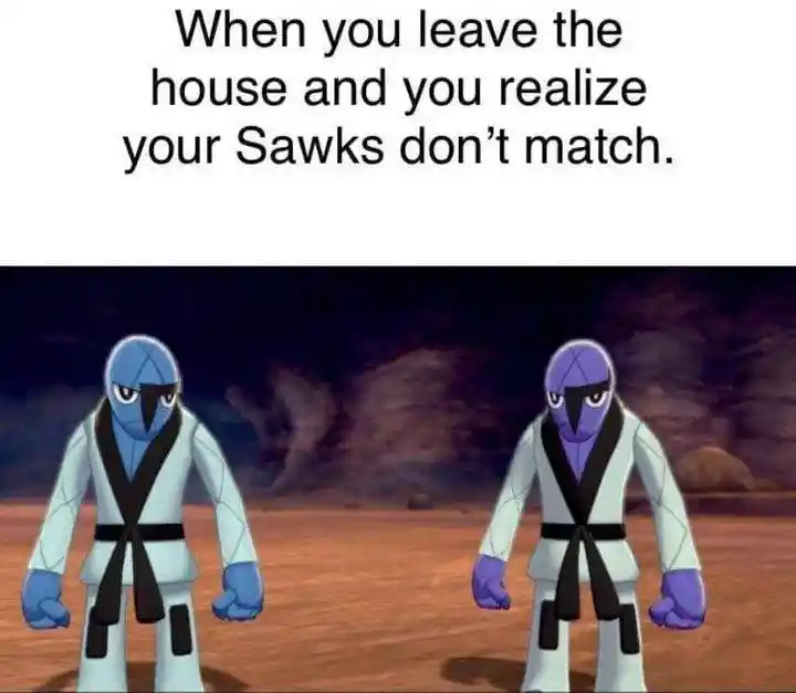 Sawks mismatch meme upset leaving house