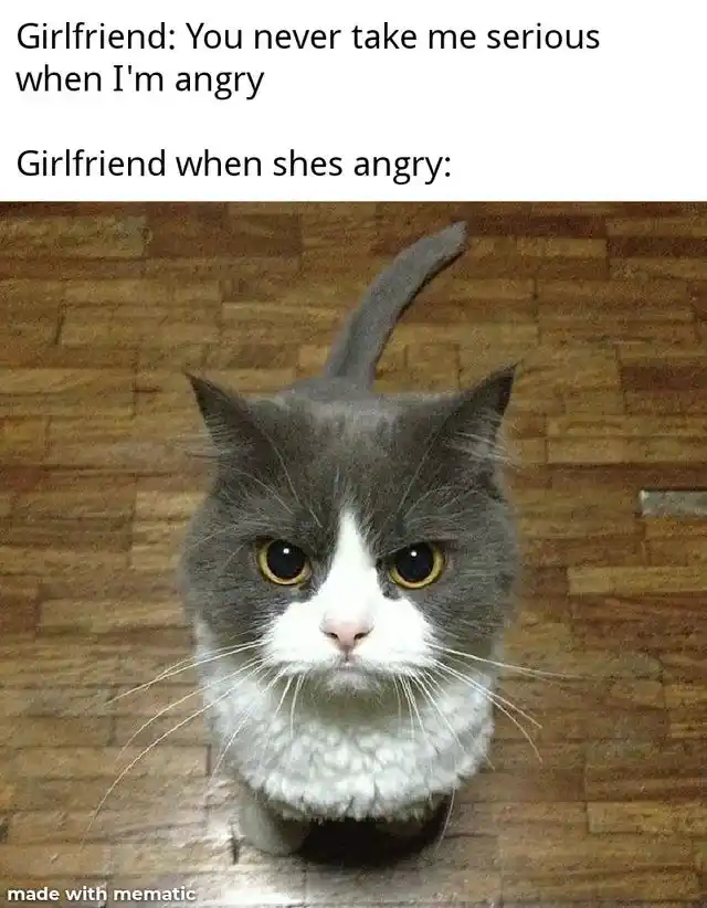 Angry girlfriend meme looks serious