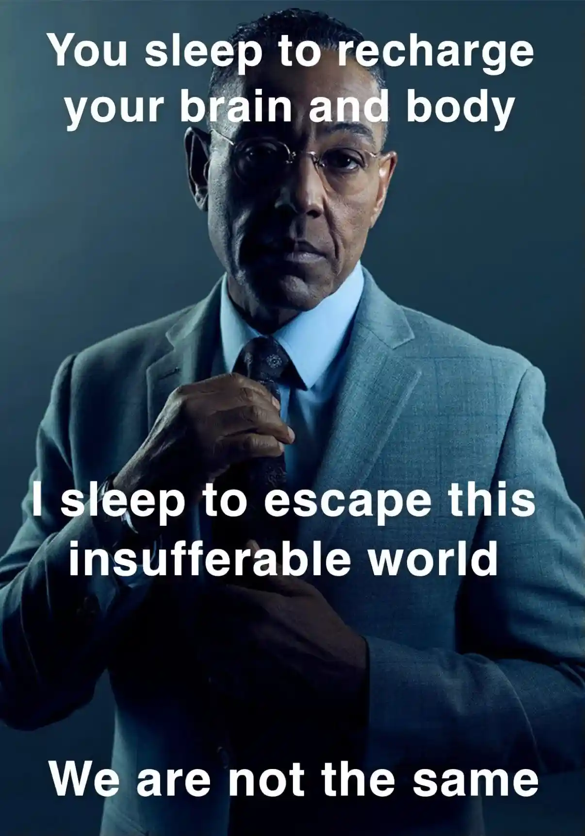Gus fring sleep meme we are not the same