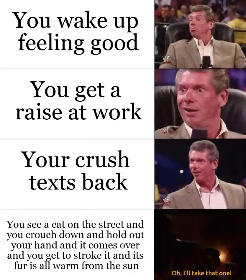 Vince mcmahon meme excited for warm cat
