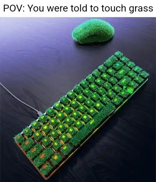 Touch grass meme using grass keyboard