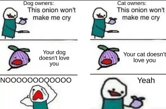 Dog cat owners onion meme reacting to pet love