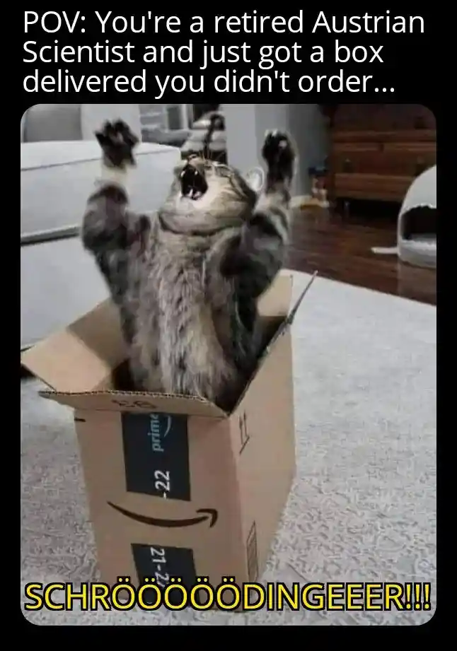 Schrodinger cat unordered box meme yelling loudly
