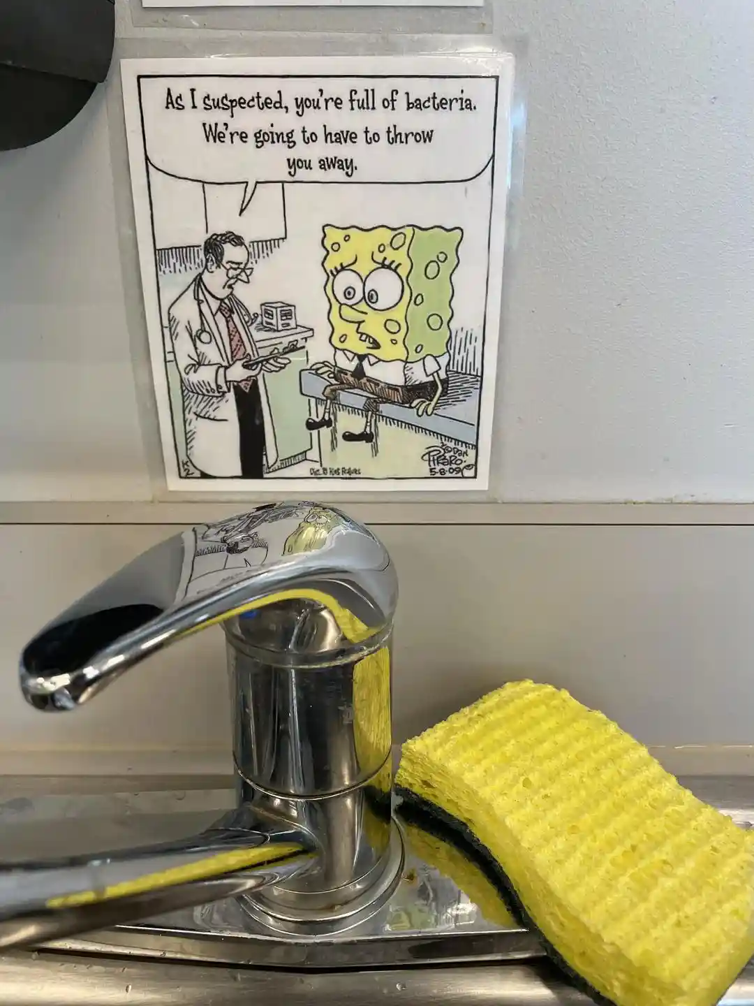 Spongebob meme told full of bacteria